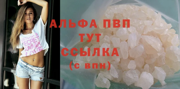 ГАЛЛЮЦИНОГЕННЫЕ ГРИБЫ Семёнов